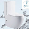 Doris Tornado Silent High End Back To Wall Ceramic Toilet Suite - RJ Bathroom