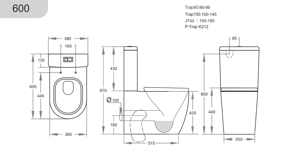 Avis Rimless Compact 600mm Easy Height Back To Wall Ceramic Toilet Suite Brushed Gold Press Button