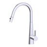 Otus Kitchen Sink and Laundry Lux Pull-Out Mixer Chrome
