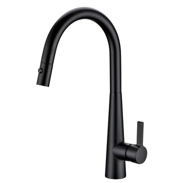 Otus Kitchen Sink and Laundry Lux Pull-Out Mixer Black