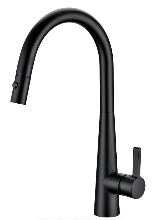 Otus Kitchen Sink and Laundry Lux Pull-Out Mixer Black