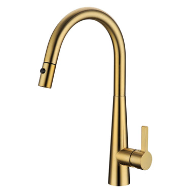 Otus Kitchen Sink and Laundry Lux Pull-Out Mixer Brushed Gold