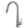 Otus Kitchen Sink and Laundry Lux Pull-Out Mixer Brushed Nickel