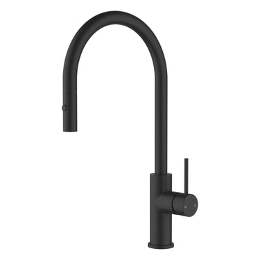 Otus Matte Black Slimline Gooseneck Pull-Out Sink Mixer - Stainless Steel