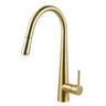 Aquaperla Brushed Brass Pull Out Kitchen Mixer Tap - Tapered Round Body