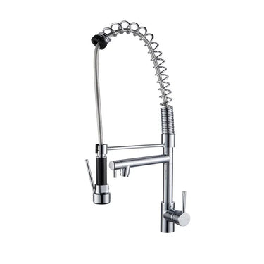 Aquaperla Chrome Commercial Spring Kitchen Mixer Tap - Pull Out Spray, Dual Spout