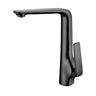 Aquaperla Esperia Gunmetal Kitchen Mixer Tap - Tapered Lever