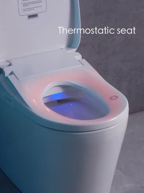 Bendo Tornado Rimless High End Back To Wall Toilet Suite with Bidet Smart Seat - RJ Bathroom