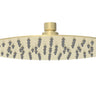 Dove Round Stainless Steel Rain Shower Head 250mm Brushed Gold - RJ Bathroom