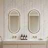 Ellips 450x900mm Matte Black oval pill framed led mirror