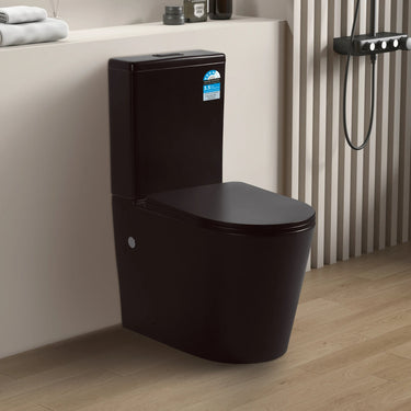 Matte Black Avis Rimless Back To Wall Ceramic Toilet Suite - RJ Bathroom
