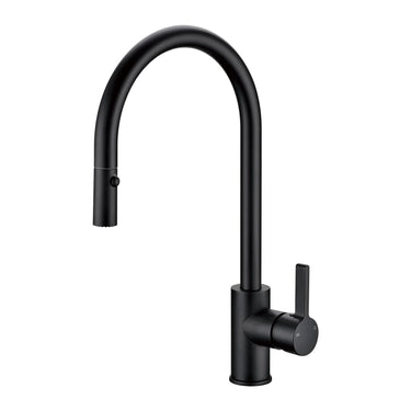 Otus Matte Black Pull-Out Kitchen Sink Mixer, front view