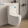 Veda Tornado Back To Wall CeramicToilet Suite Brushed Gold Press Button - RJ Bathroom