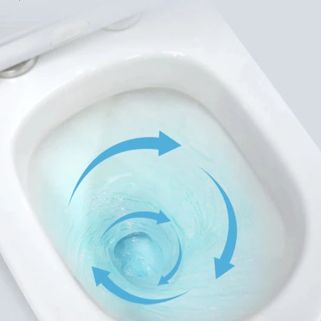 Tornado Toilet