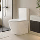 Rimless Tornado Toilets