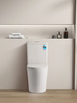 Vivi Tornado Easy Height Back To Wall Ceramic Toilet Suite Brushed Gun Metal Press Button