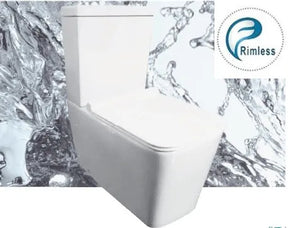Yoyo Rimless High End Back To Wall Ceramic Toilet Suite - RJ Bathroom