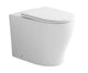 In Wall Cistern Toilets 