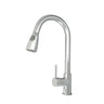 Aquaperla Chrome Pull Out Kitchen Mixer Tap - Gooseneck, Dual Spray