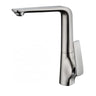 Aquaperla Esperia Brushed Nickel Kitchen Mixer Tap - Tapered Lever