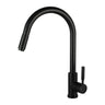 Aquaperla Matte Black Pull Out Kitchen Mixer Tap - Round Gooseneck
