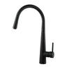 Aquaperla Matte Black Pull Out Kitchen Mixer Tap - Tapered Round Body