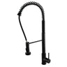 Aquaperla Matte Black Spring Pull Out Kitchen Mixer Tap - Coil Spout, Dual Spray