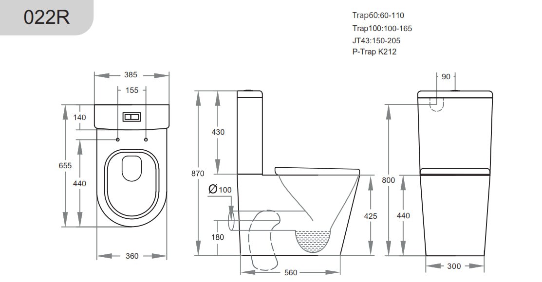 Avis Rimless Back To Wall Ceramic Matte Black Toilet Suite - RJ Bathroom