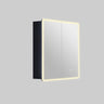 Avola 750mm LED shaving cabinet in matte black with 2 mirrored doors, angled view on a grey background