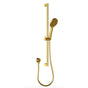 Cora Brushed Gold Hand Shower Rail Set - RJ Bathroom