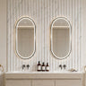 Ellips 450x900mm Gun Metal oval pill framed led mirror