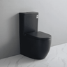 Veda Tornado Matte Black Back To Wall Ceramic Toilet Suite Brushed Gold Press Button - RJ Bathroom